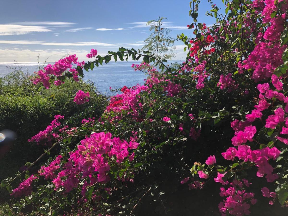 Apartamento Ocean Dream Apartment- Air Condition Funchal (Madeira)
